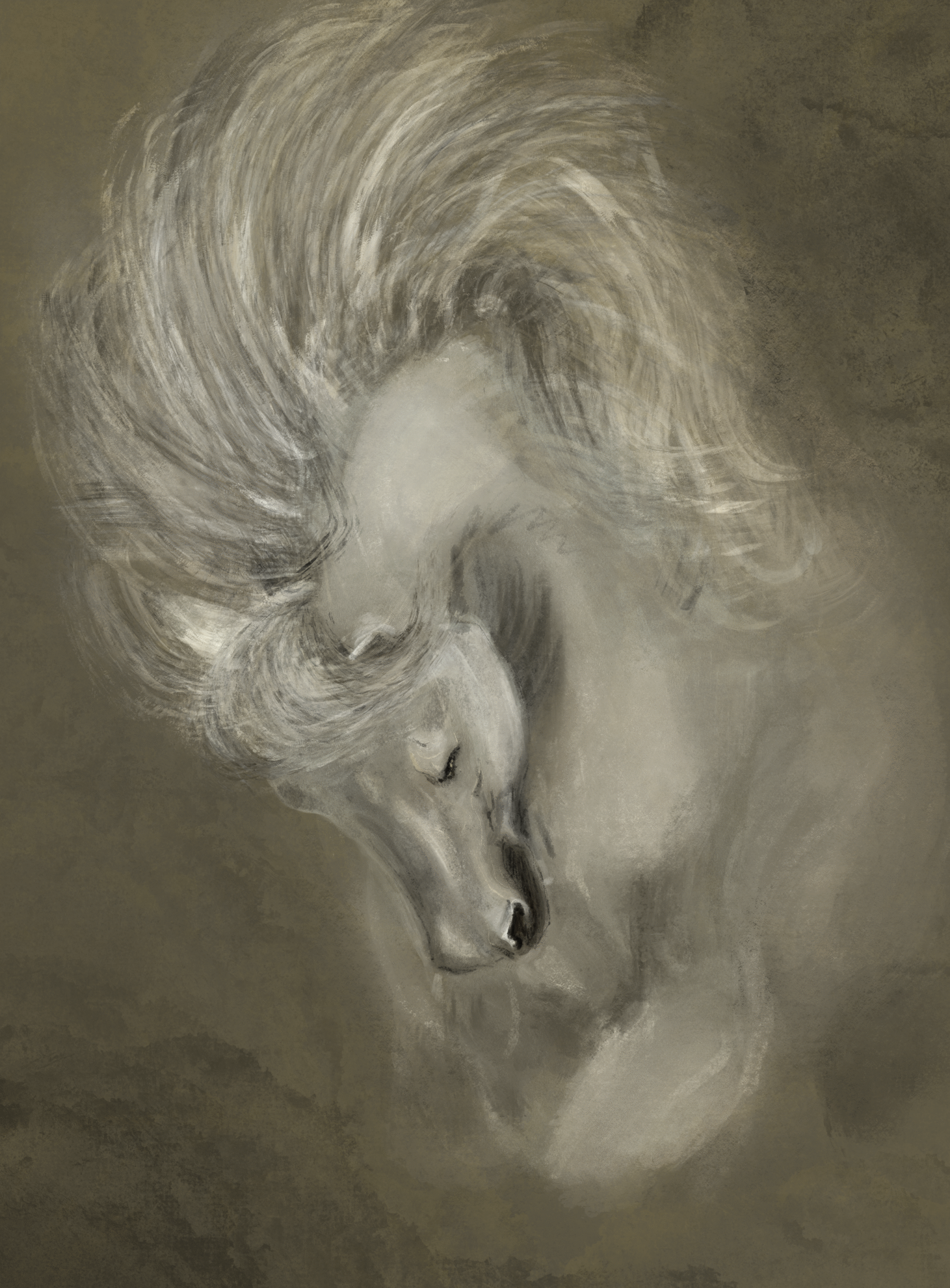Portret Paard/Hond - Afbeelding 3