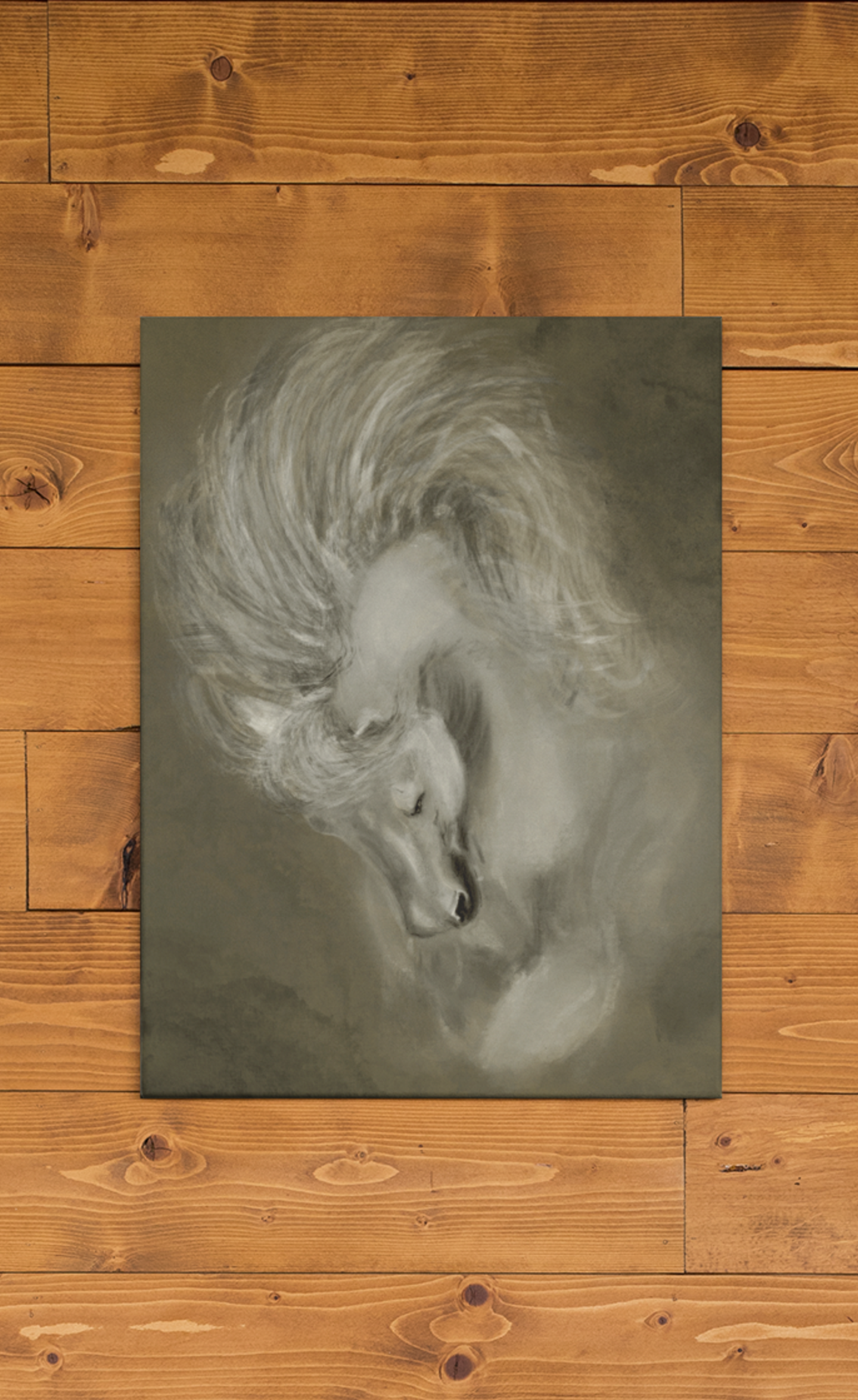 Portret Paard/Hond - Afbeelding 2